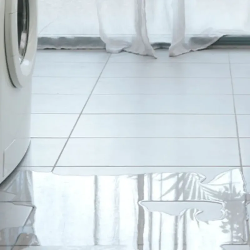 Appliance Leak Cleanup in Fisher County, TX