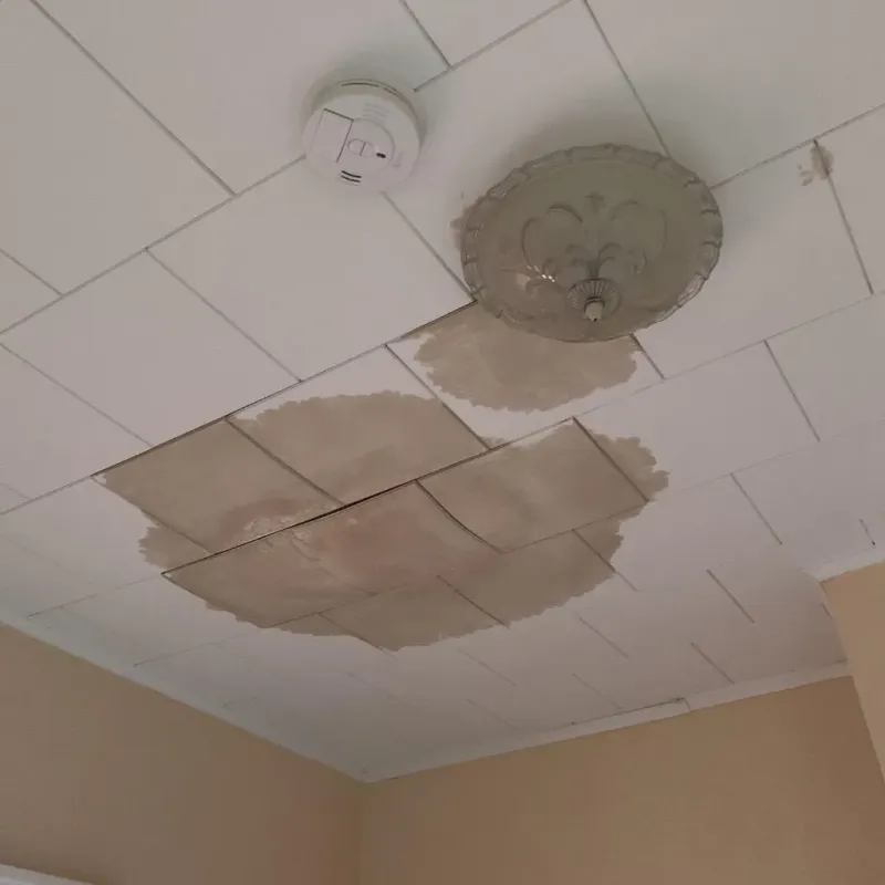 Ceiling Water Damage Repair in Fisher County, TX