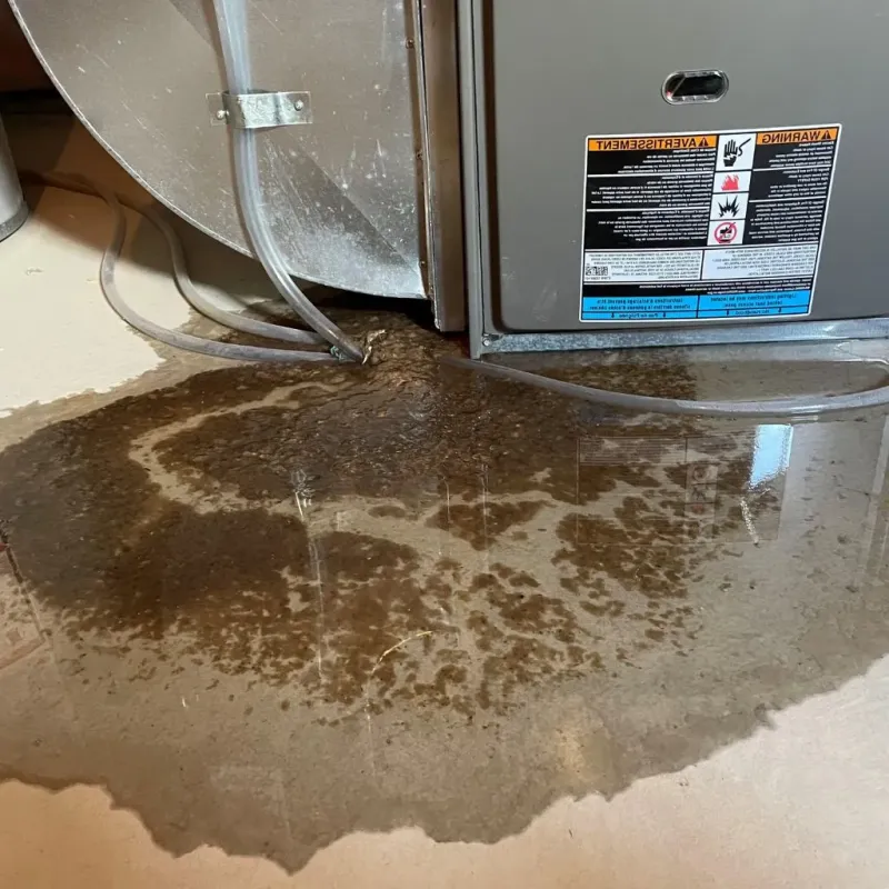 Pipe Burst and Leak Restoration in Fisher County, TX