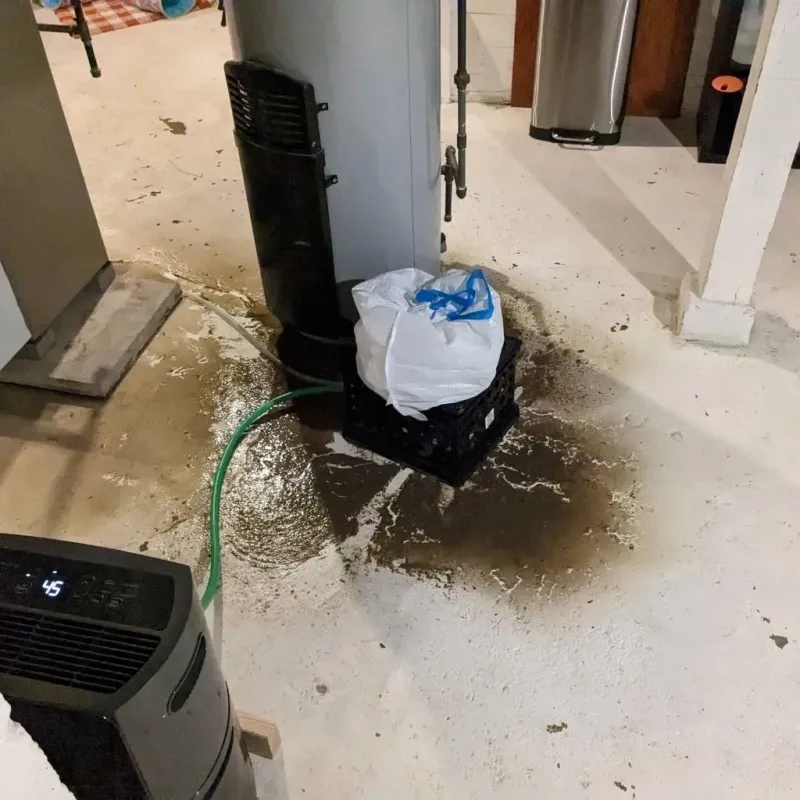 Sewage Backup Cleanup Service in Fisher County, TX